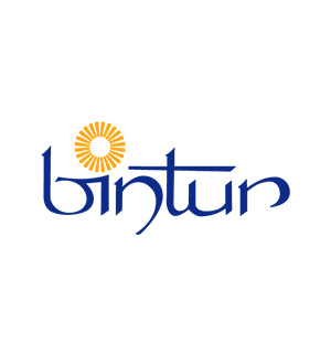 Bintur Travel Agency