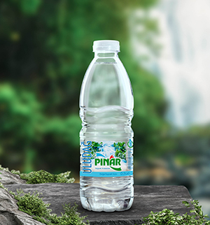 Pınar Su